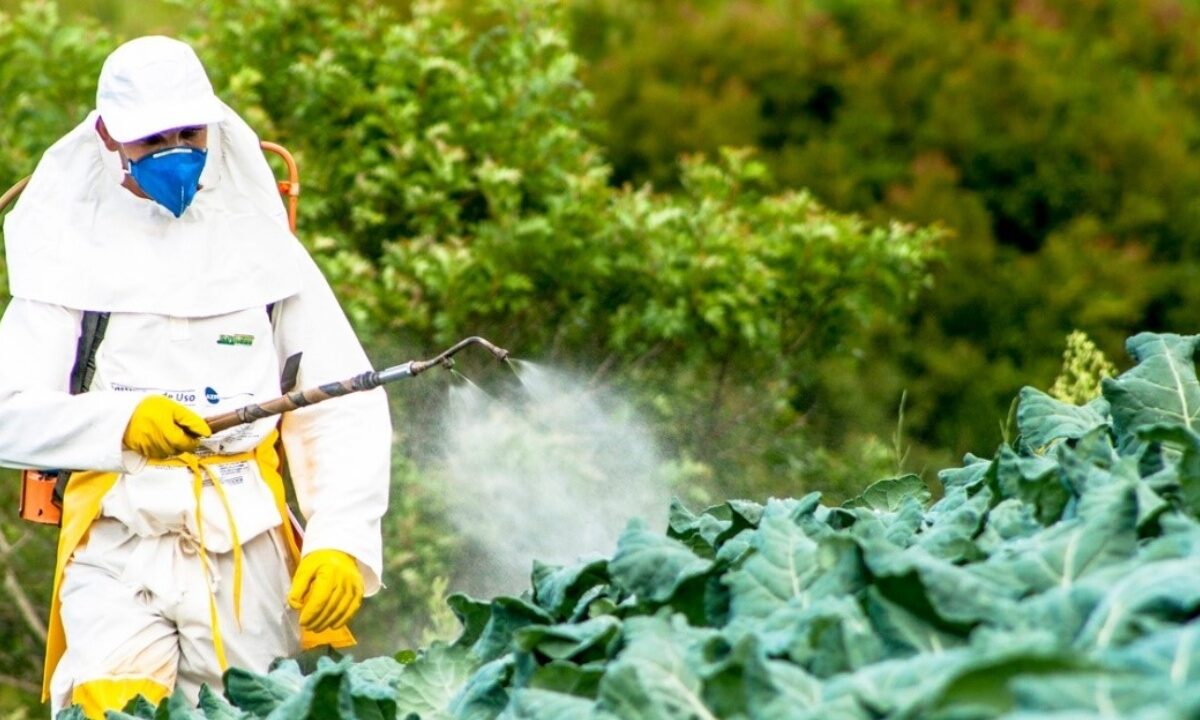 KLSH: Ministria e Bujqësisë lejoi shitjen e 10 pesticideve të ndaluara në BE