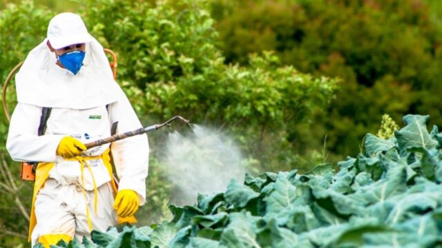 KLSH: Ministria e Bujqësisë lejoi shitjen e 10 pesticideve të ndaluara në BE
